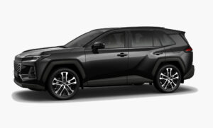 Attitude Black 131313