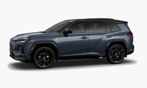 Massive Gray​ Black 27313b