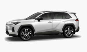 Platinum Pearl White ced2d1