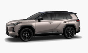 Avant-Garde Bronze Metallic Black cbc0ba