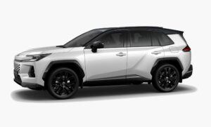 Platinum Pearl White Black ced2d1